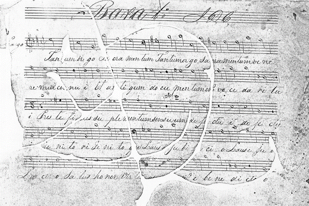 160b11.gif (276611 bytes)