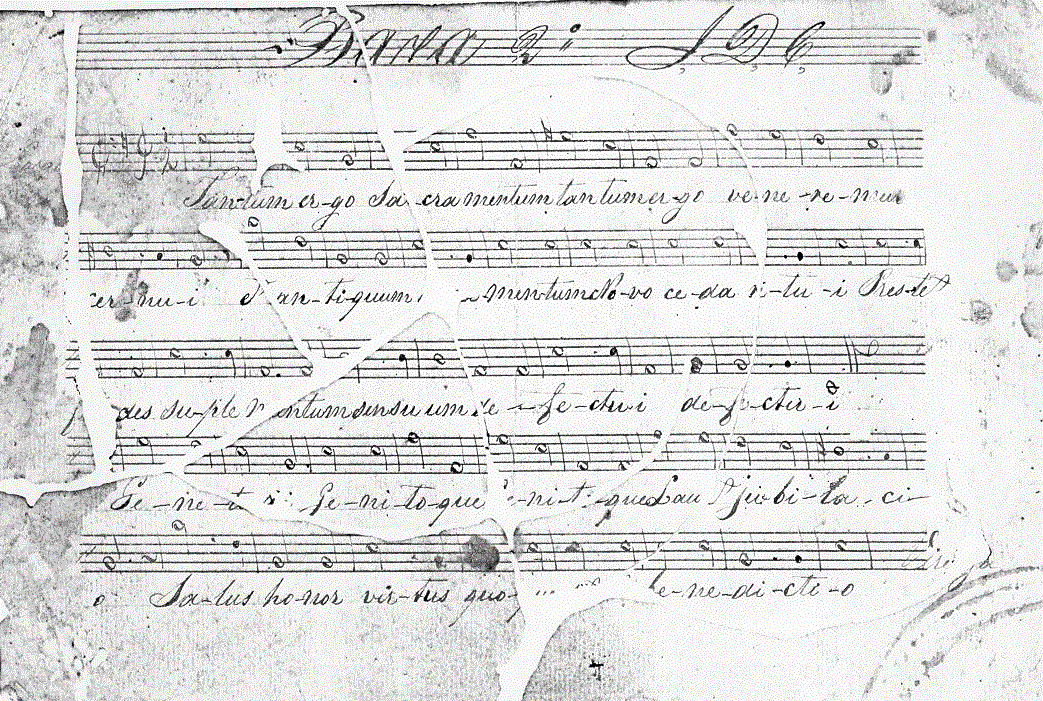 160b21.gif (253442 bytes)