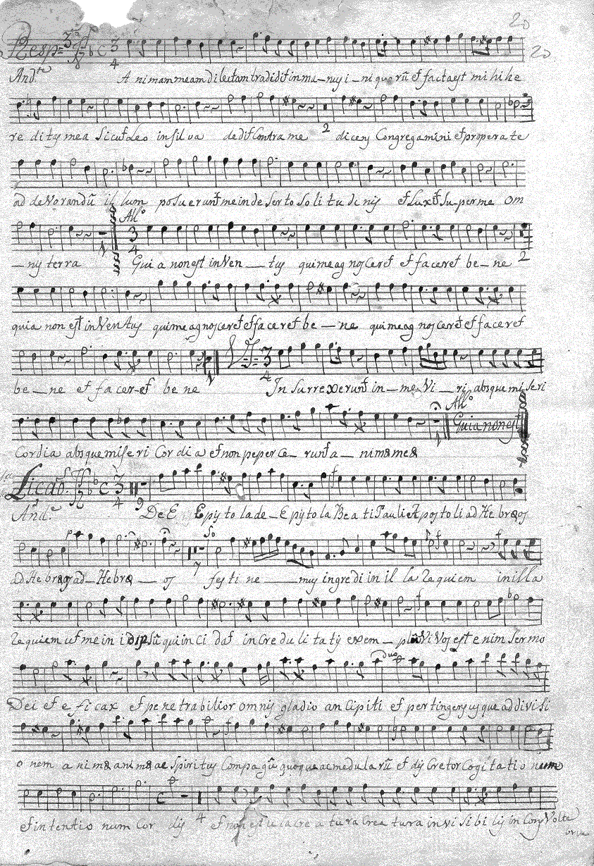 184a5.gif (407975 bytes)