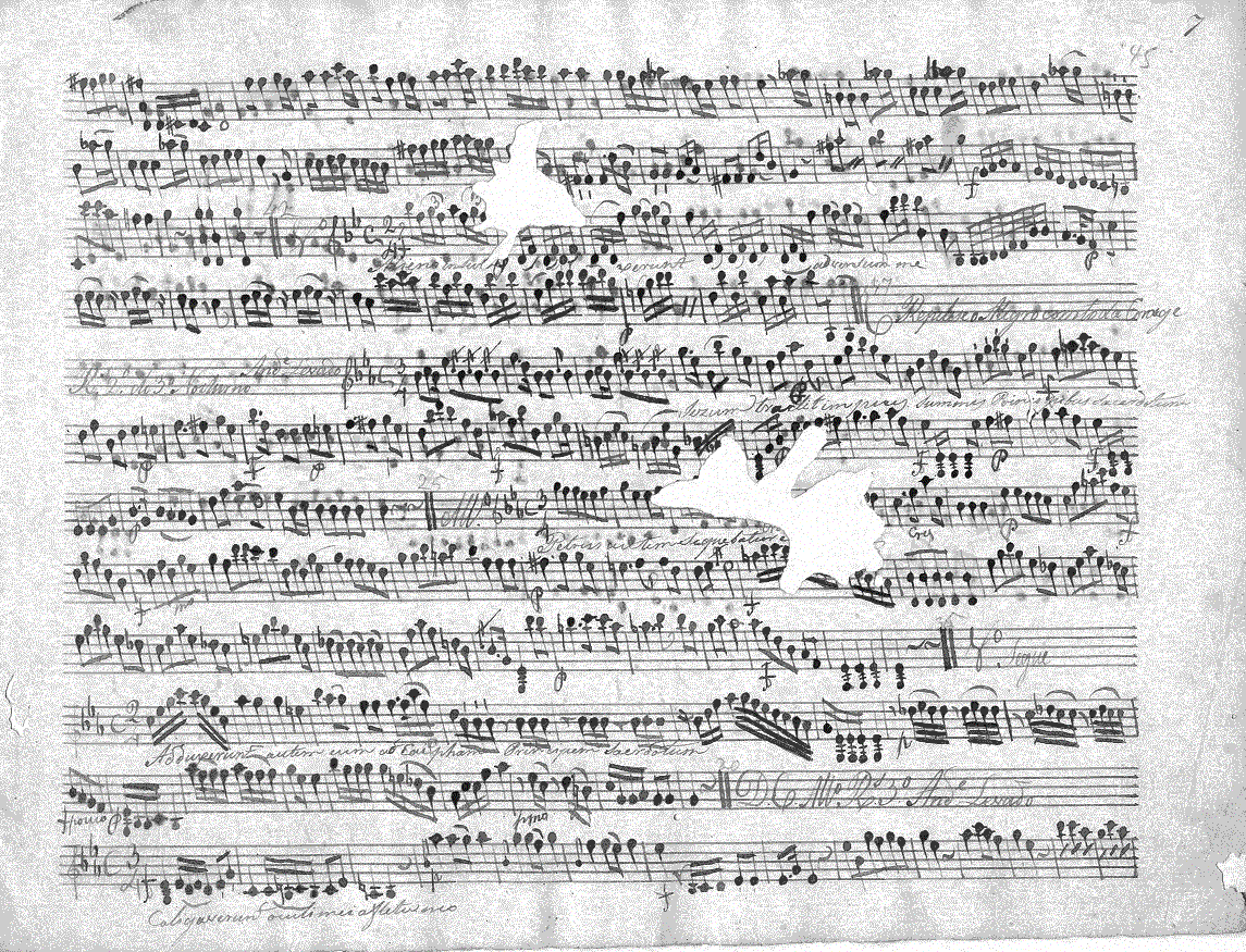 184v17.gif (411858 bytes)