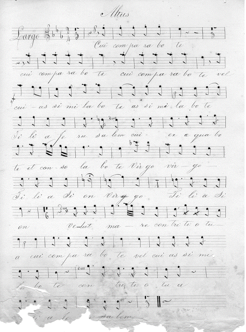 191a1.gif (337977 bytes)