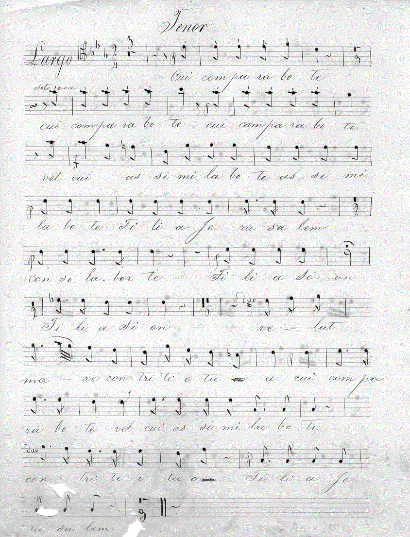 191t1.gif (331238 bytes)