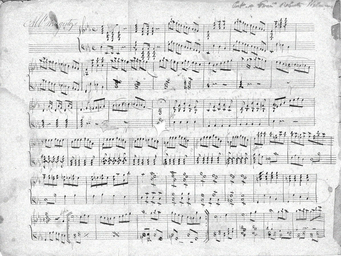 195hm1.gif (421937 bytes)