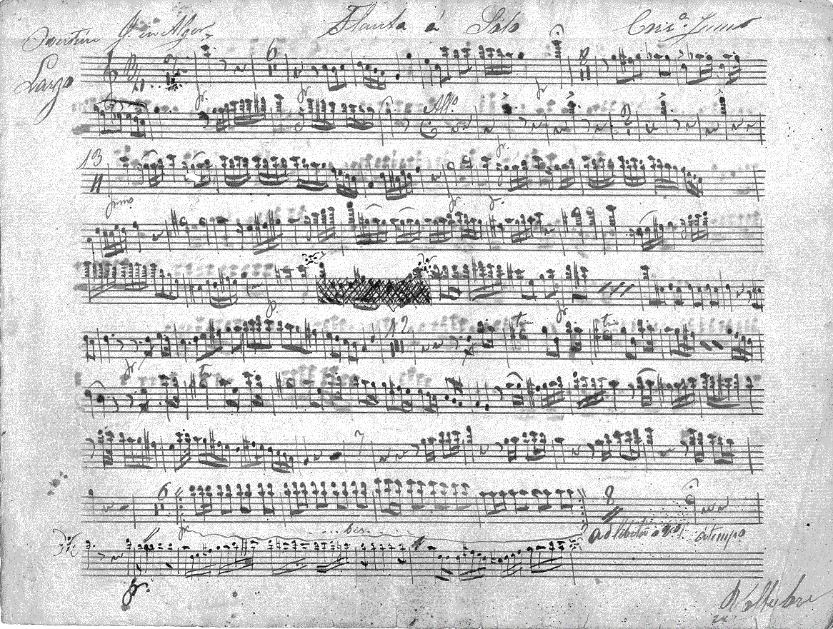 199fl1.gif (403237 bytes)