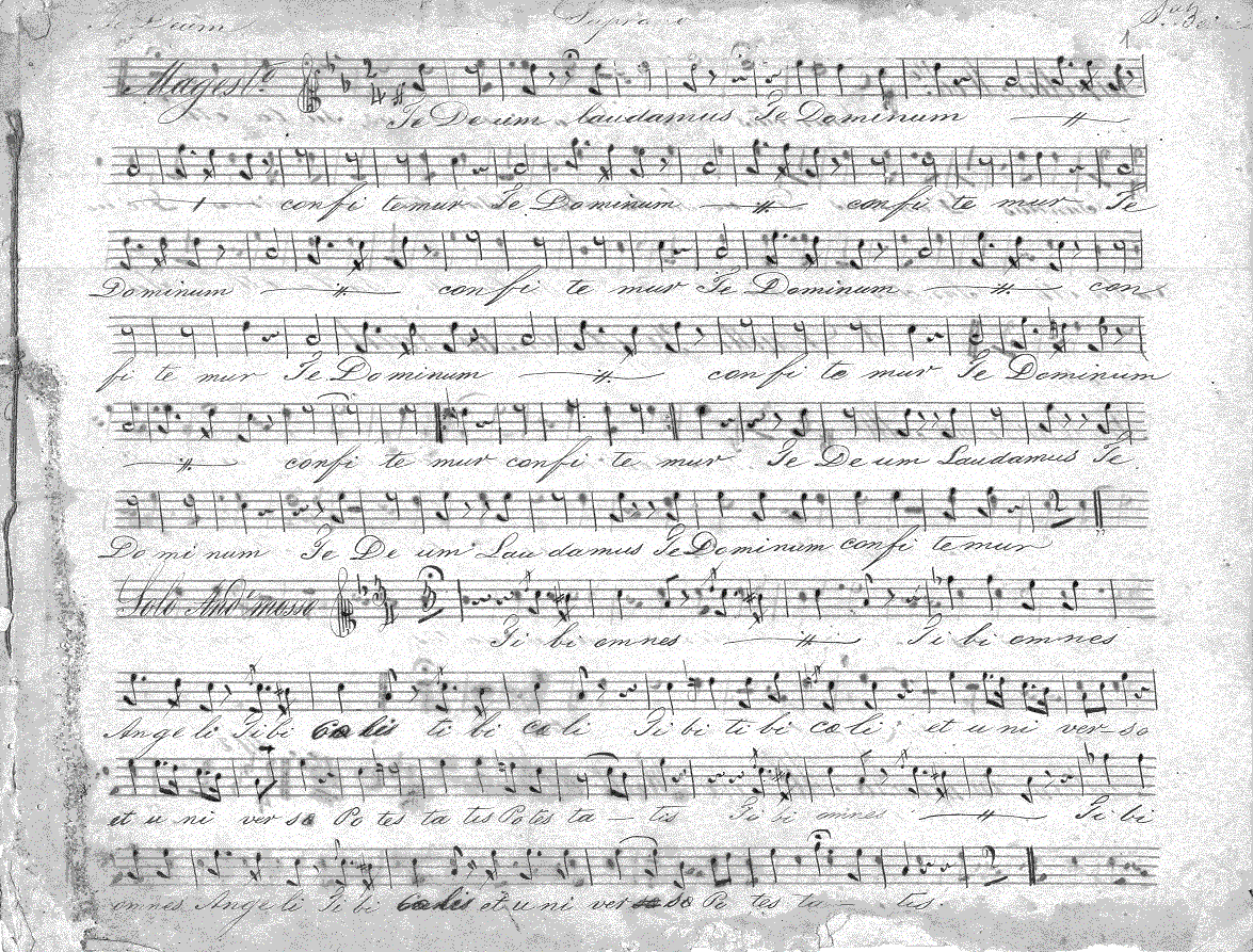 201s1.gif (405893 bytes)