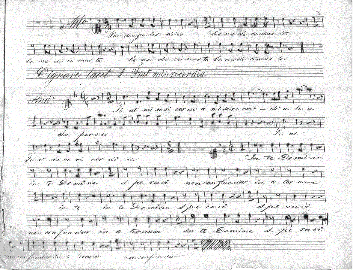 201s5.gif (403172 bytes)