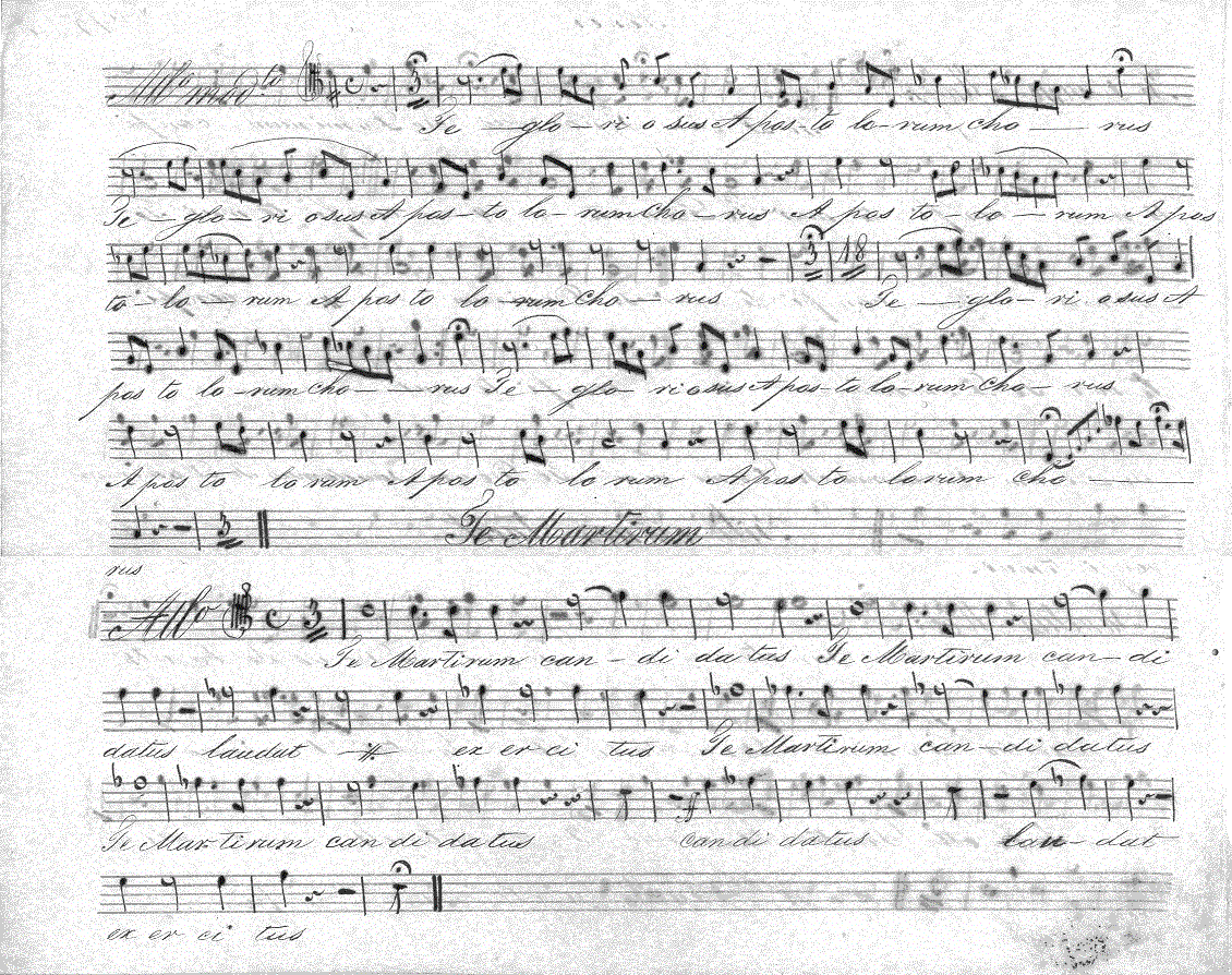 201t2.gif (387290 bytes)