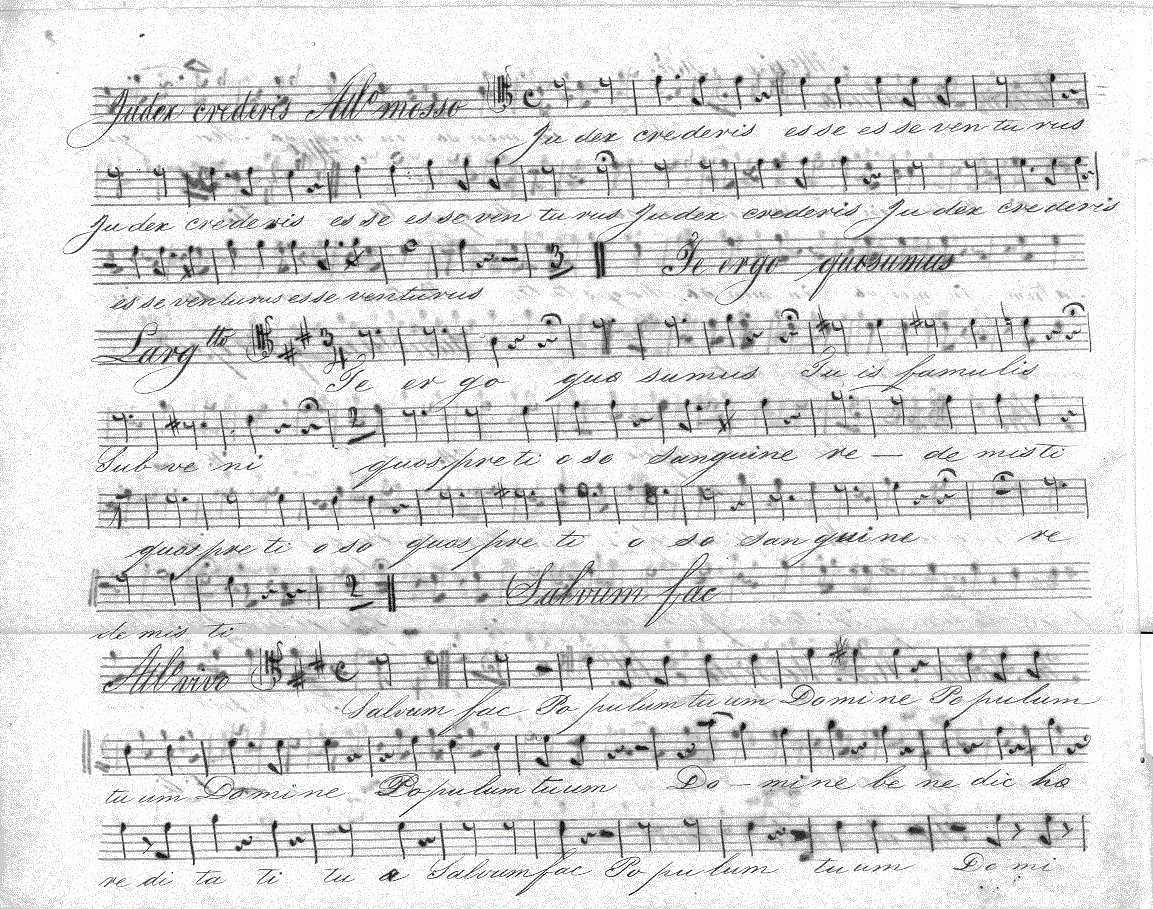 201t4.gif (405546 bytes)