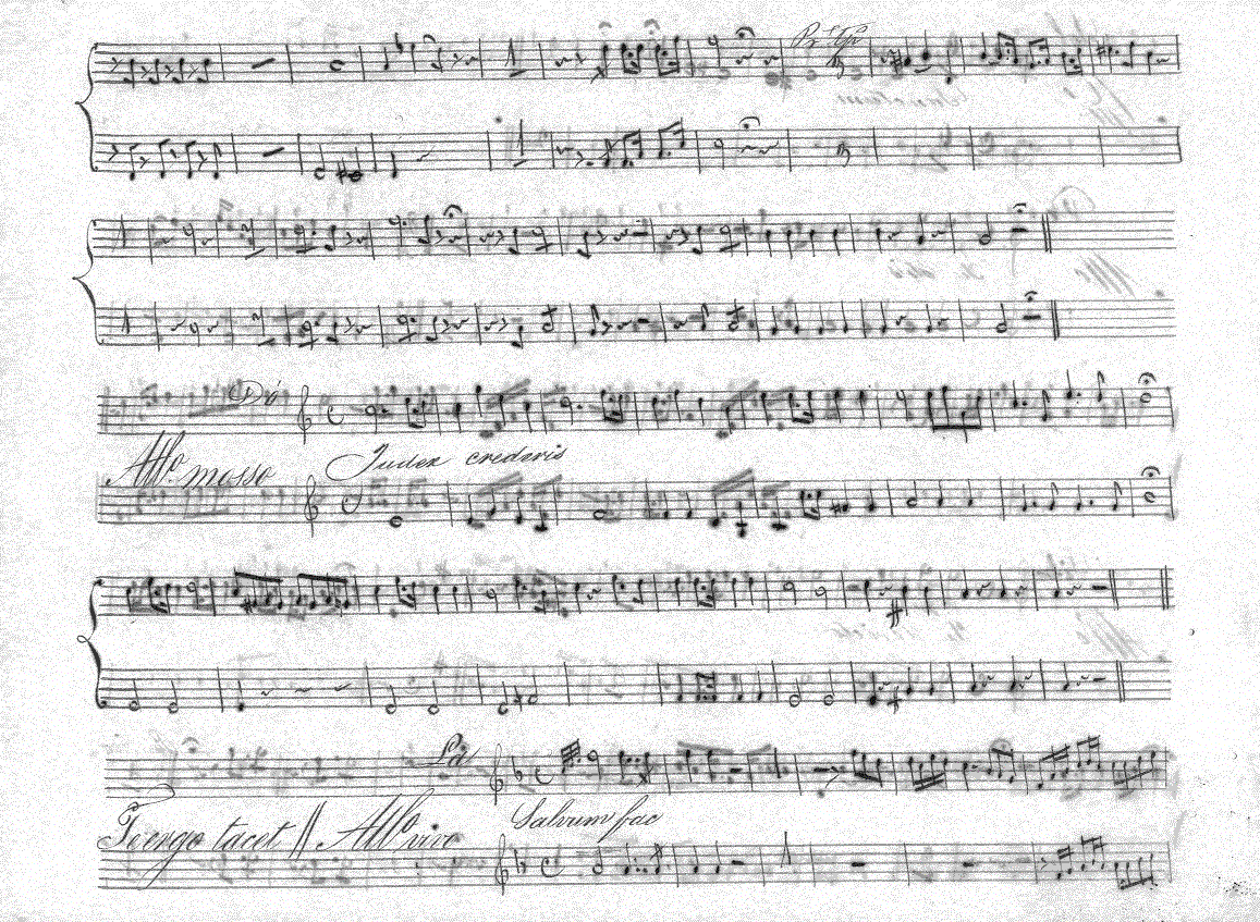 201tp5.gif (378507 bytes)