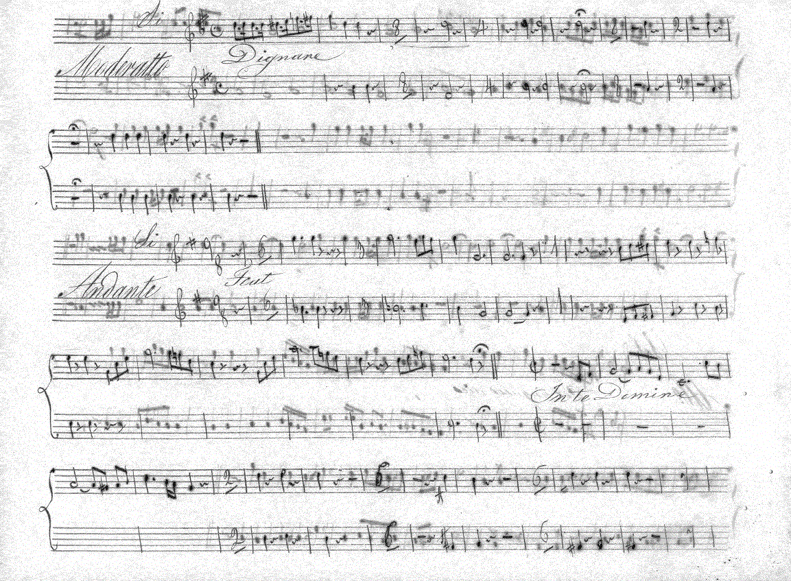 201tp7.gif (373373 bytes)