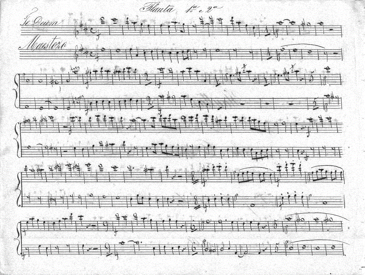 202fl1.gif (407982 bytes)