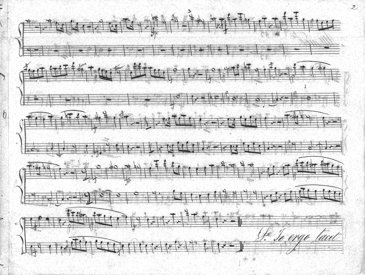 202fl2.gif (401300 bytes)