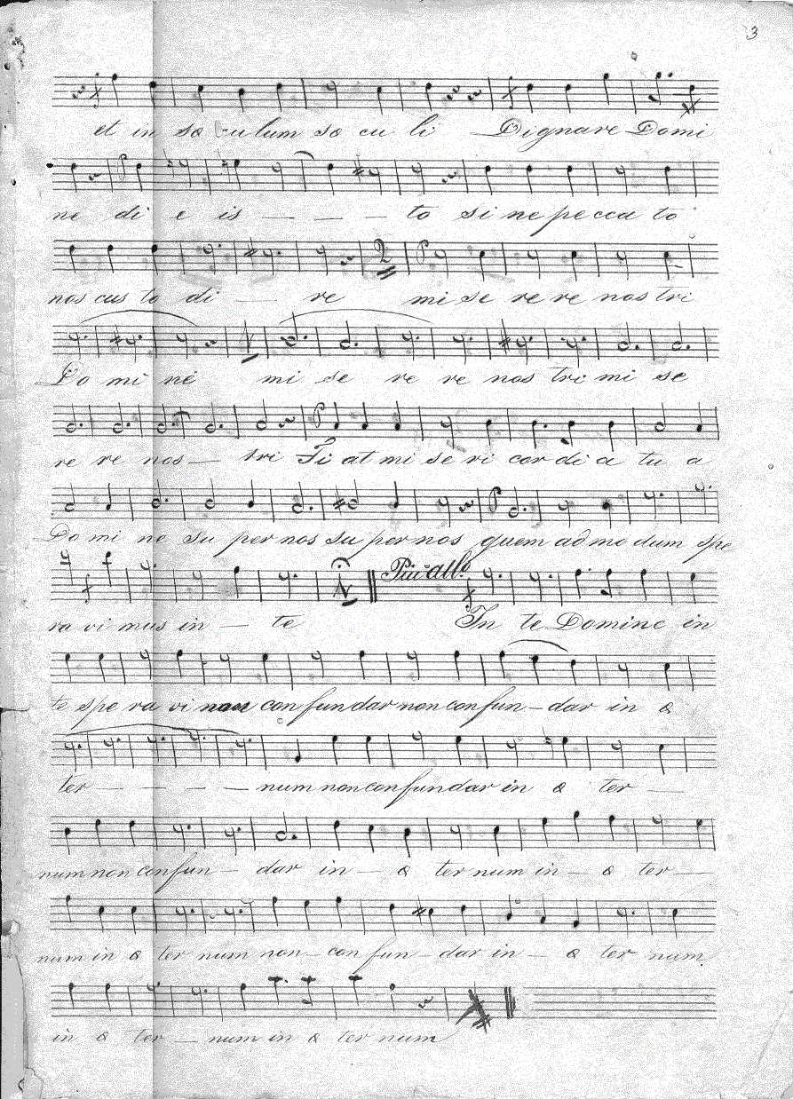 202s4.gif (419532 bytes)