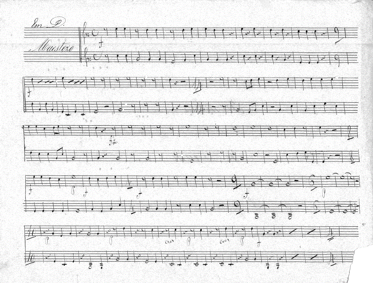 202tp1.gif (387499 bytes)