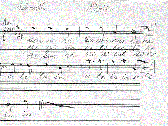 203b.gif (82510 bytes)