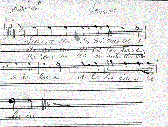 203t.gif (86243 bytes)