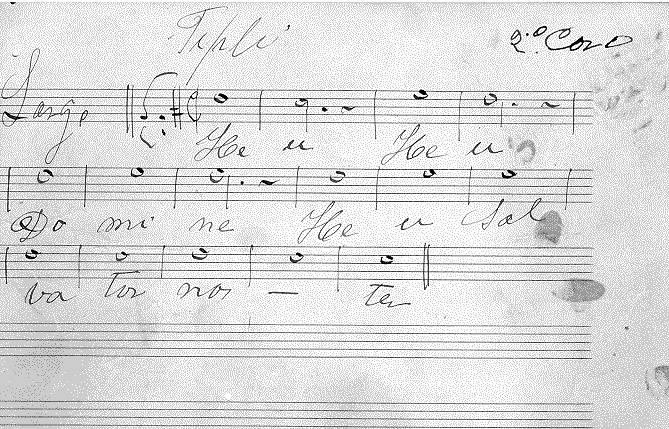 204s11.gif (47064 bytes)