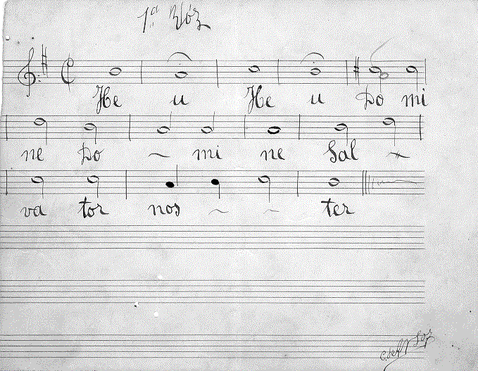 204ss11.gif (125380 bytes)