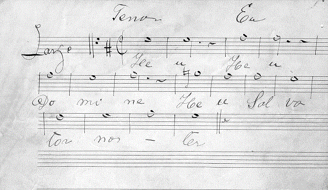 204ts11.gif (94239 bytes)