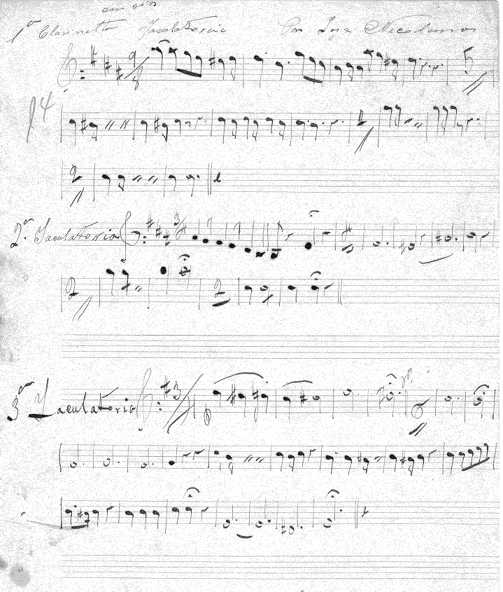 205cl.gif (264887 bytes)