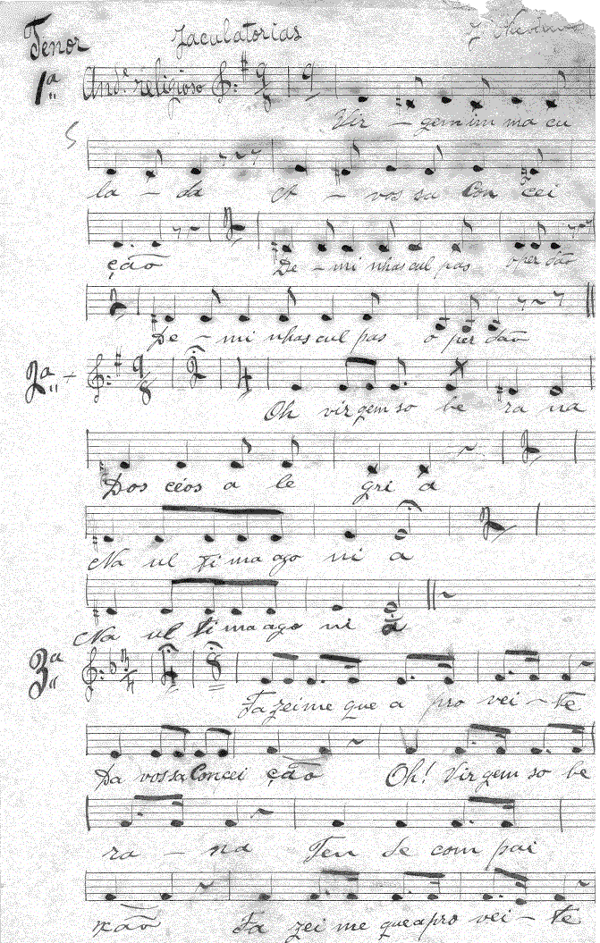 205t1.gif (261267 bytes)