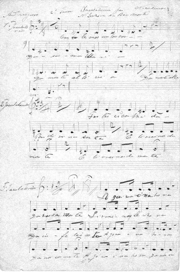 205t3.gif (274350 bytes)