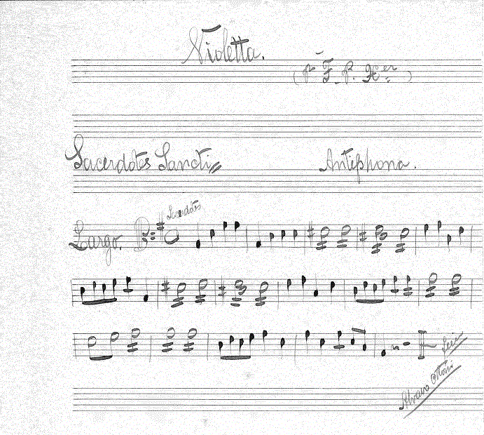 206va.gif (238322 bytes)