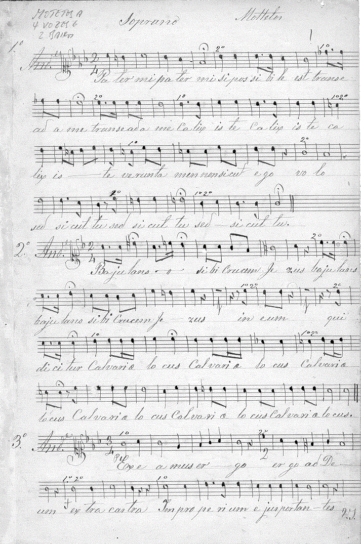 210s11.gif (283732 bytes)