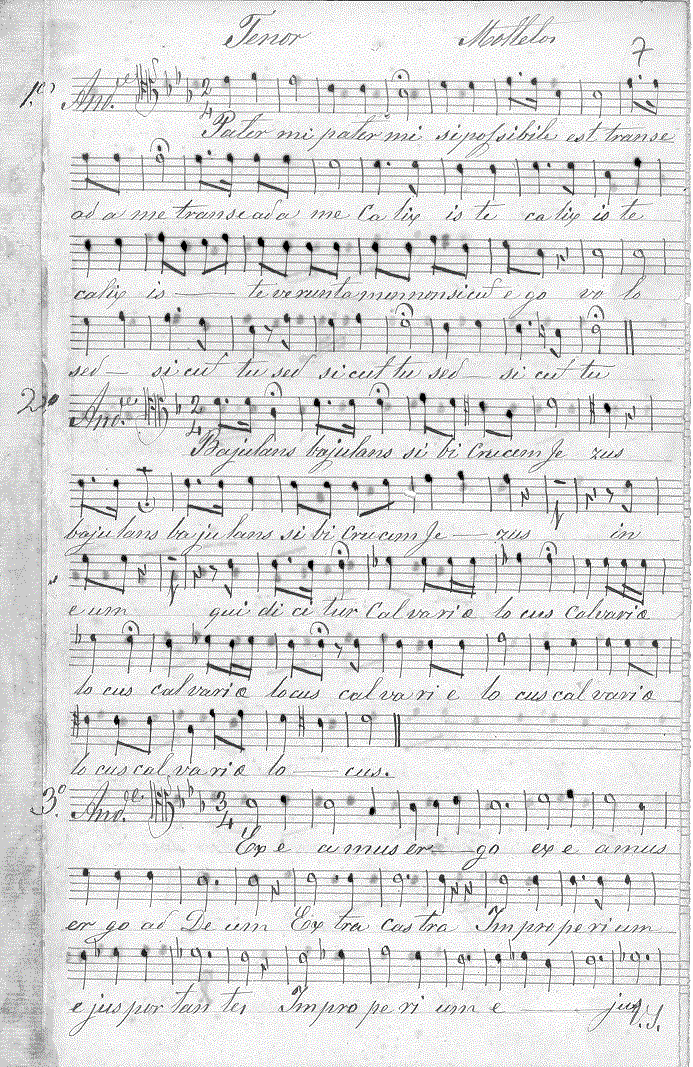 210t11.gif (282983 bytes)