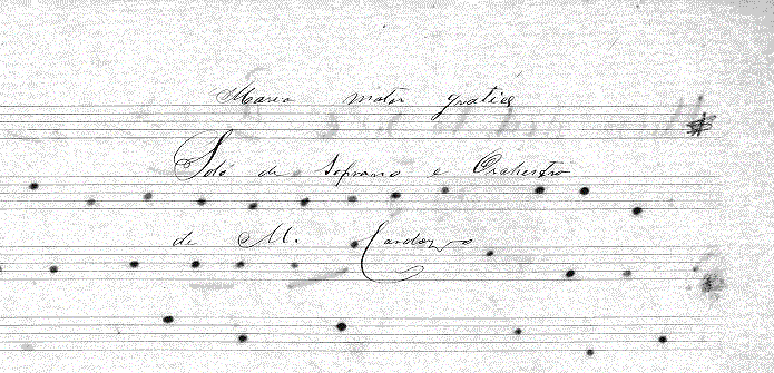 216scapa2.gif (357349 bytes)