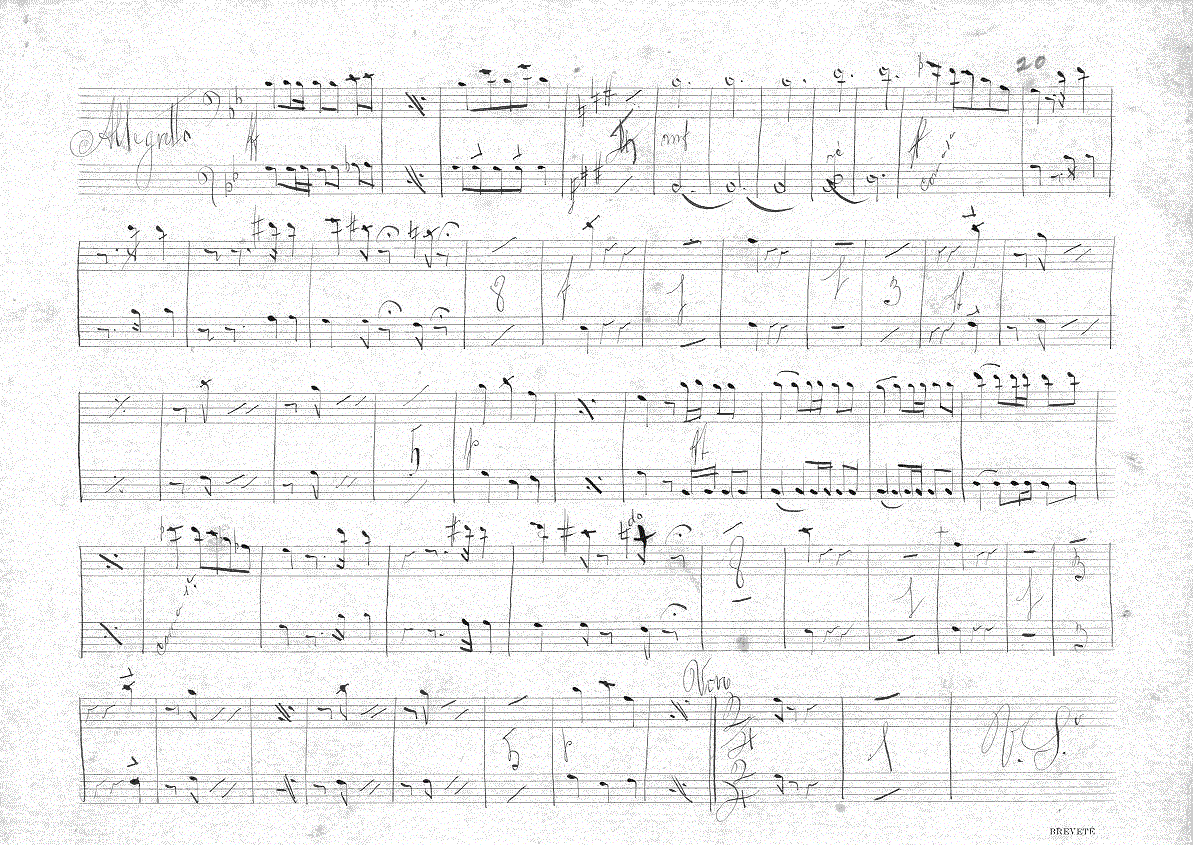 216tn13.gif (351047 bytes)