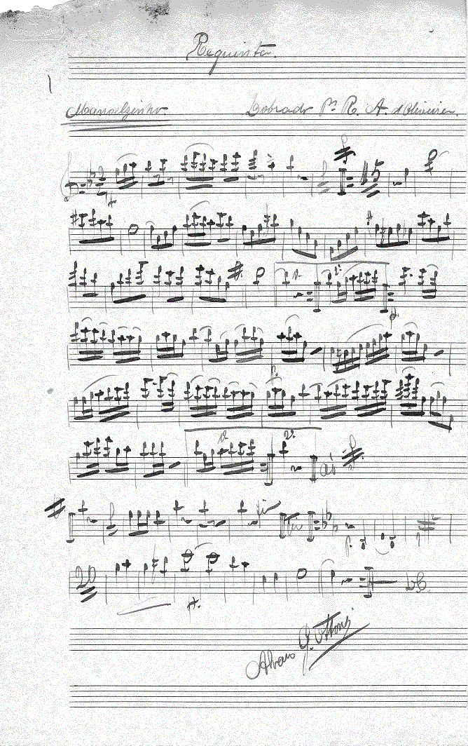 220(requinta1).gif (243557 bytes)