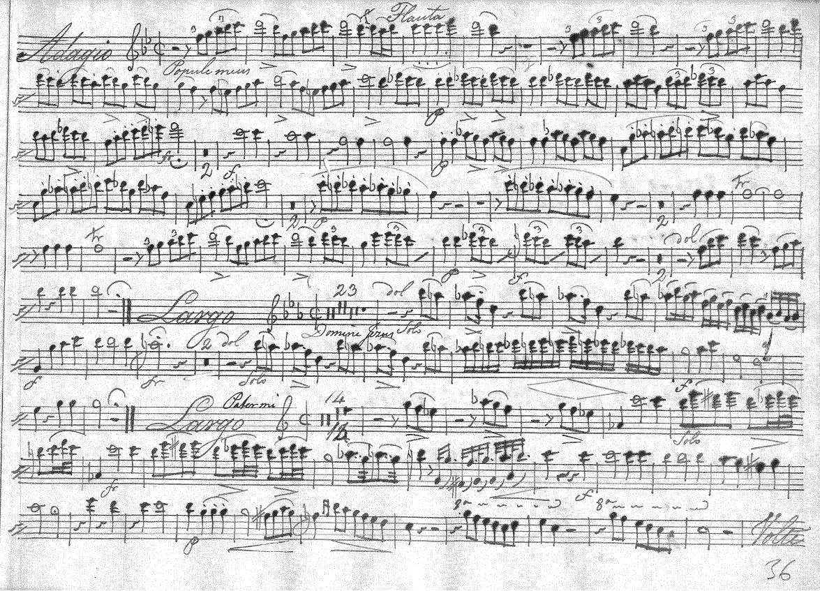 221fl1.gif (410869 bytes)