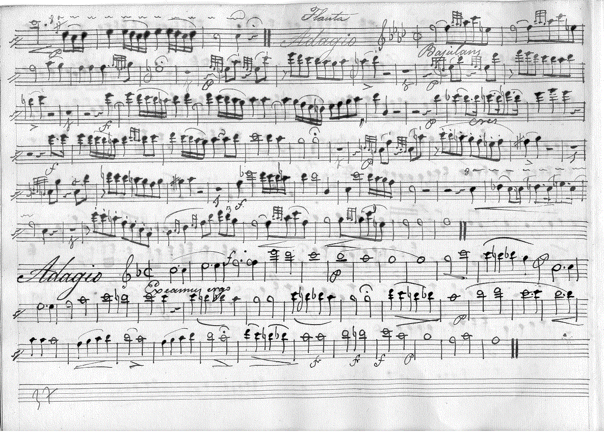 221fl2.gif (380132 bytes)