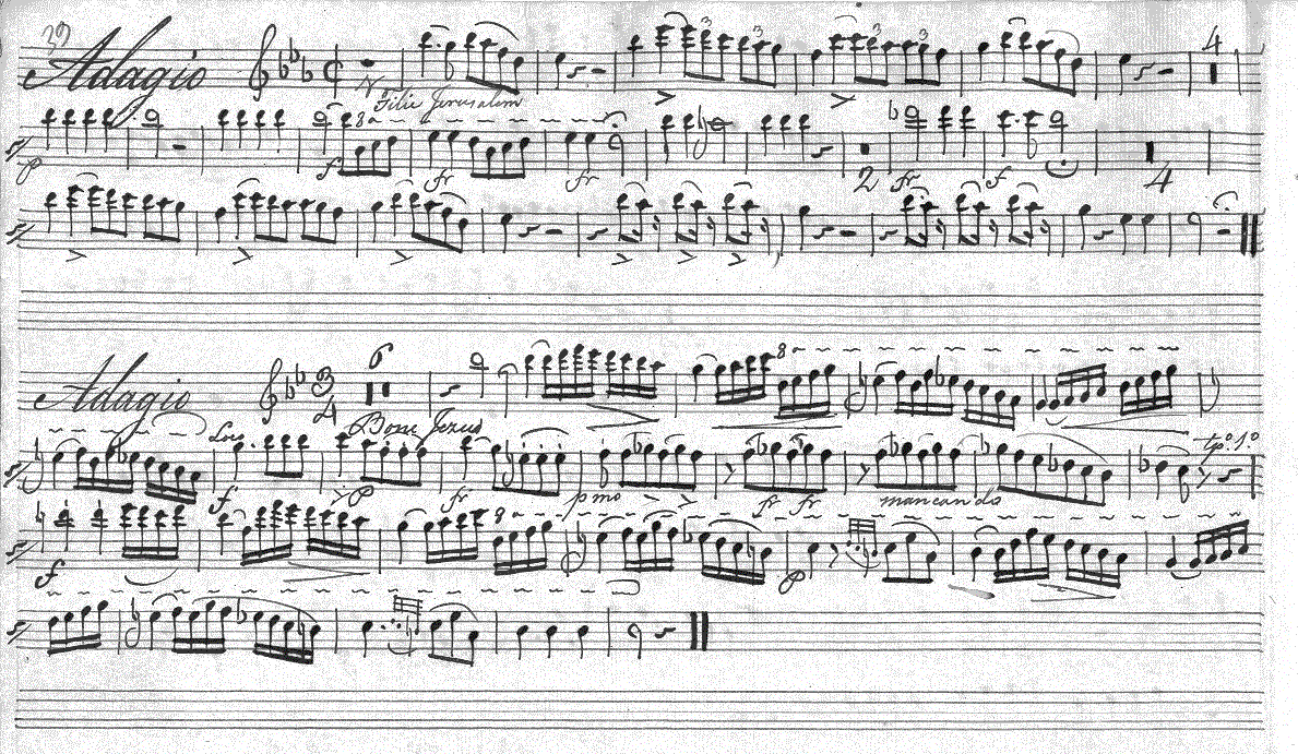 221fl4.gif (397963 bytes)