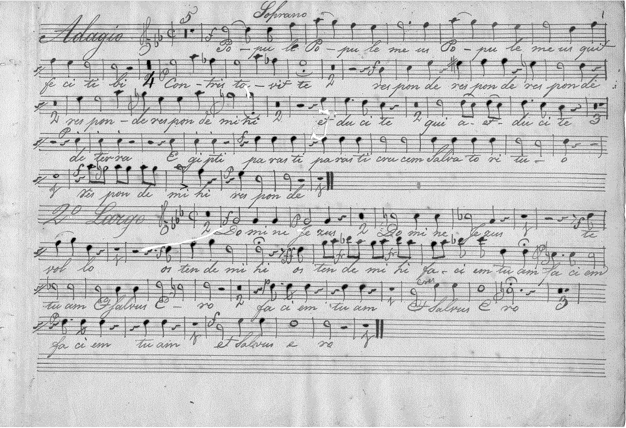 221s11.gif (182413 bytes)