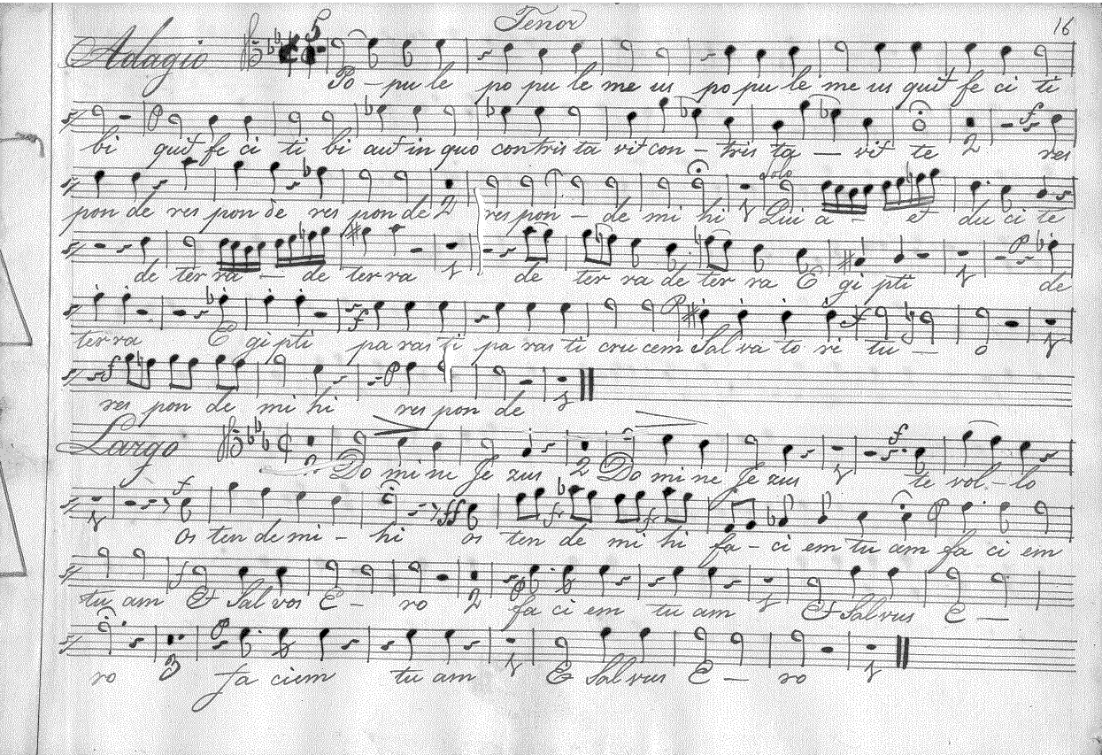 221t1.gif (197086 bytes)