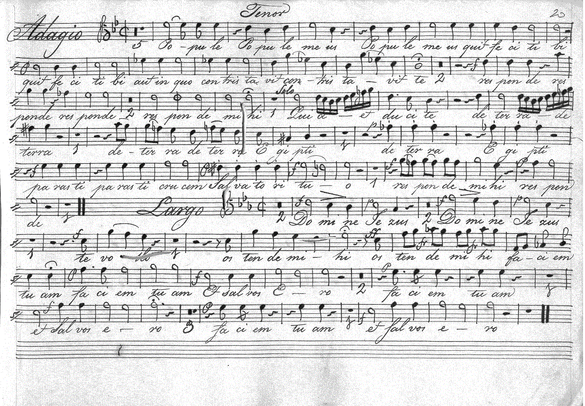 221t5.gif (403722 bytes)