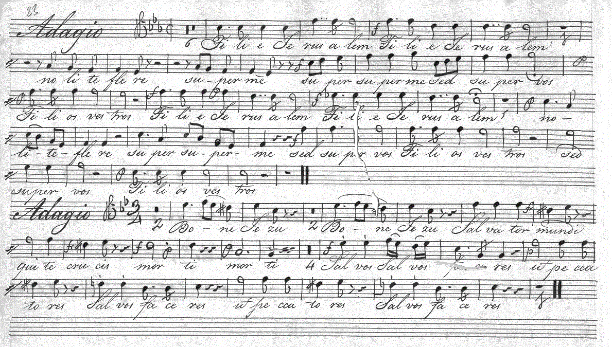 221t8.gif (395422 bytes)