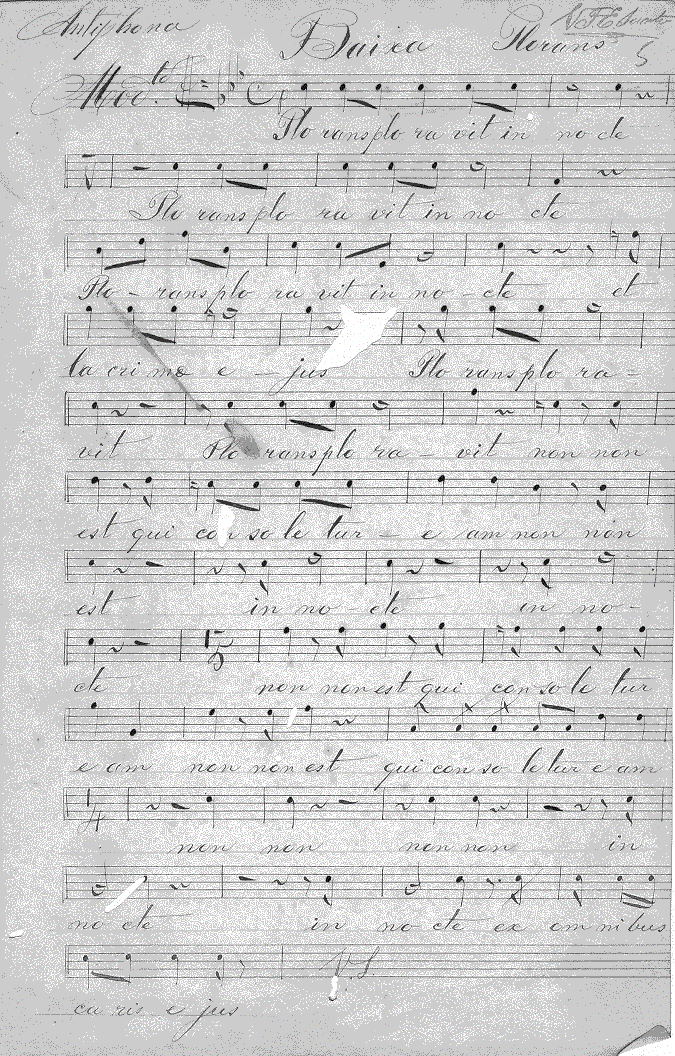 222b1.gif (217627 bytes)