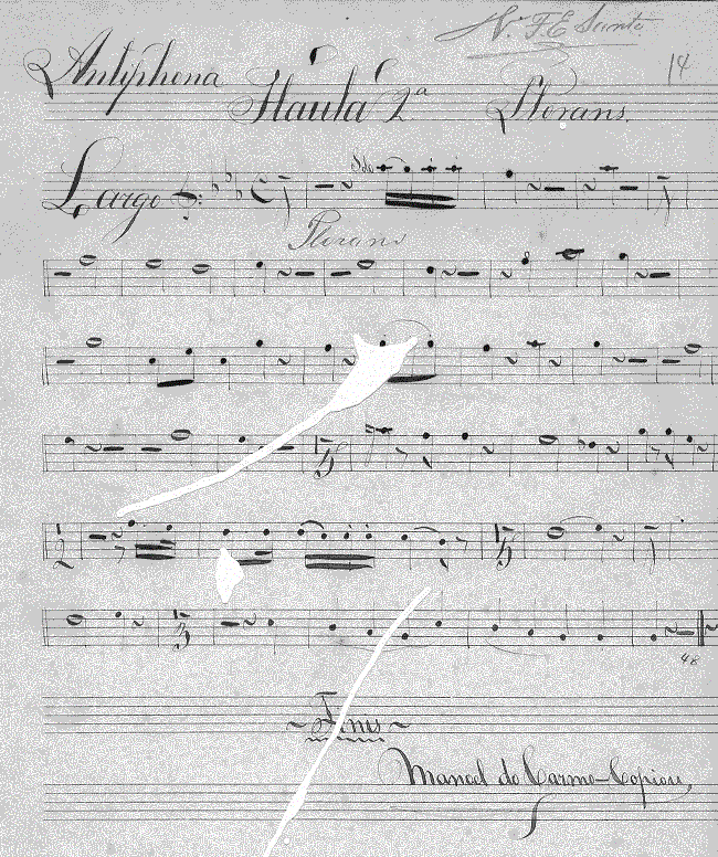 222fl21.gif (196970 bytes)