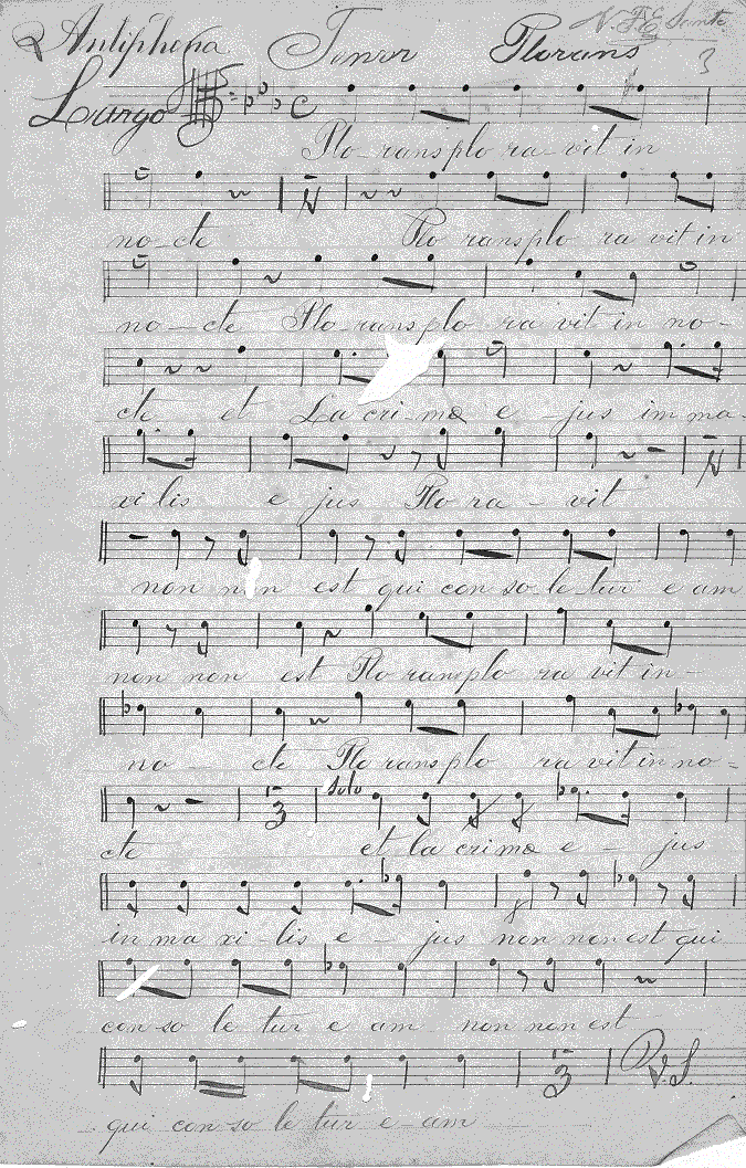 222t1.gif (206064 bytes)