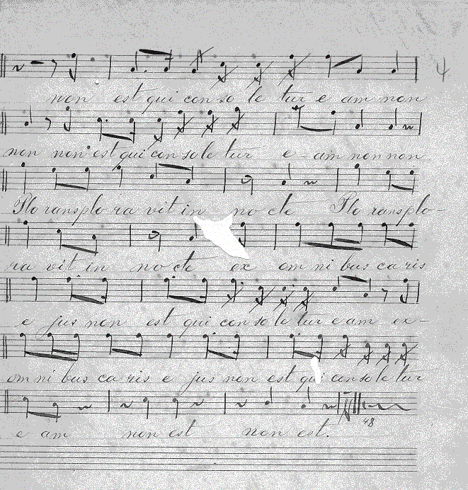 222t2.gif (196787 bytes)