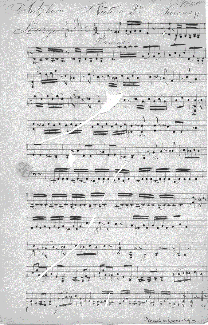 222v21.gif (238216 bytes)