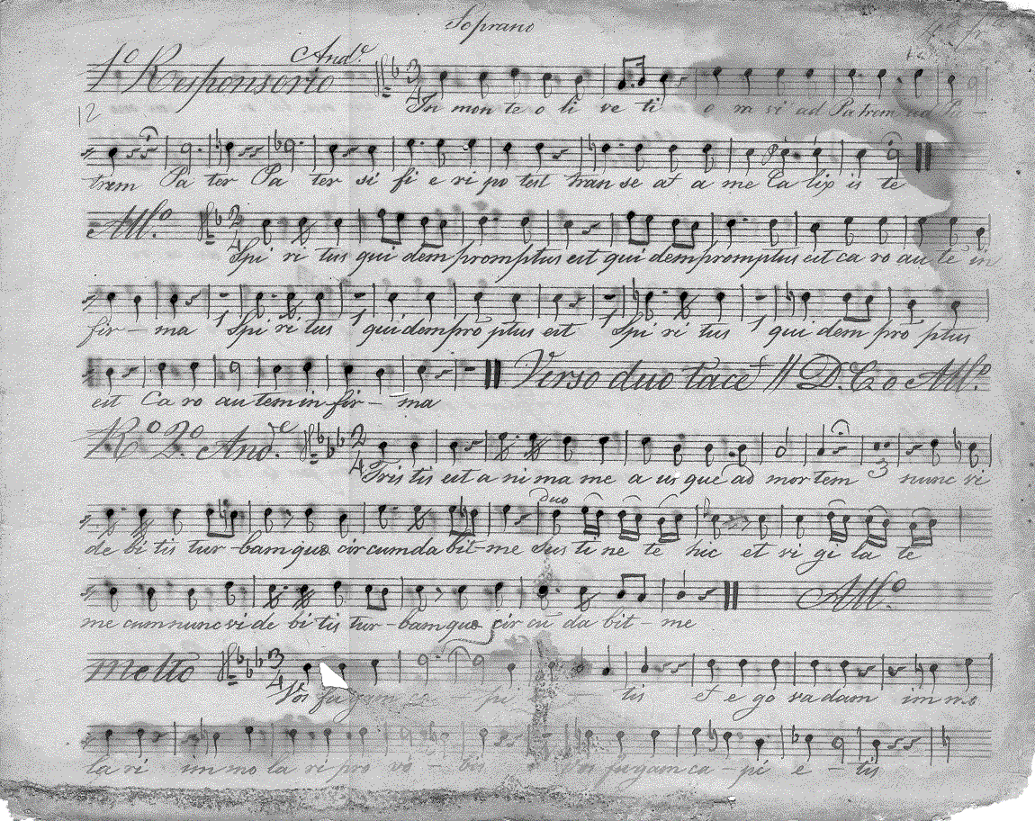 224s01.gif (362316 bytes)