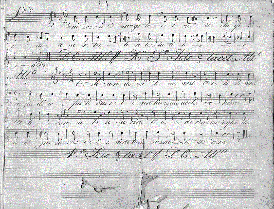 224s11.gif (343344 bytes)