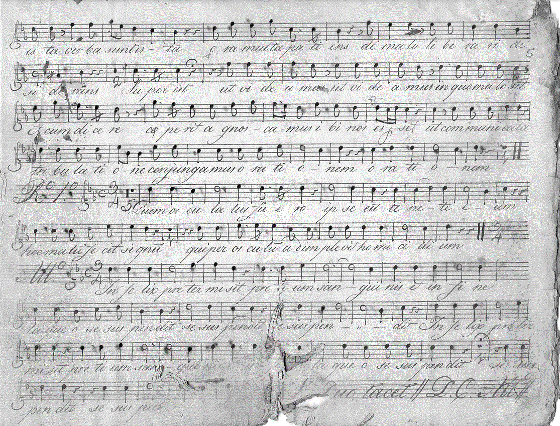 224s5.gif (359950 bytes)