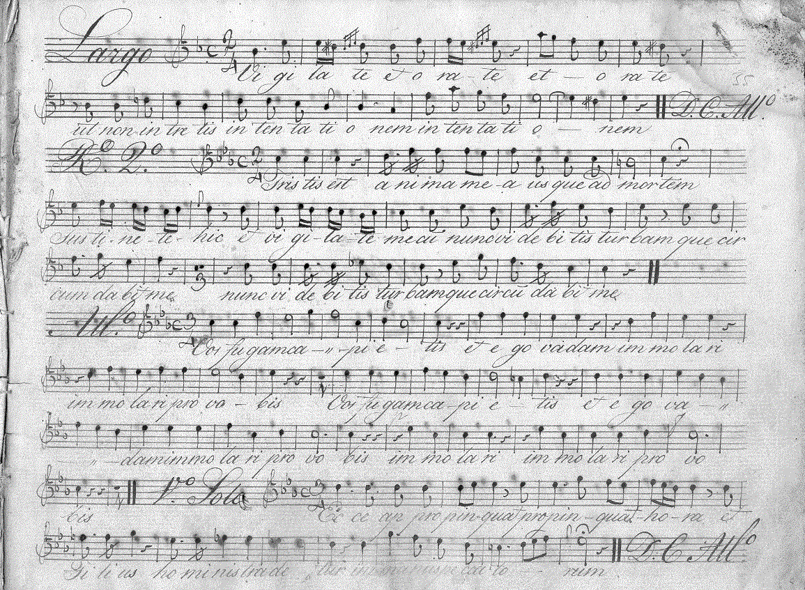 224t3.gif (371410 bytes)