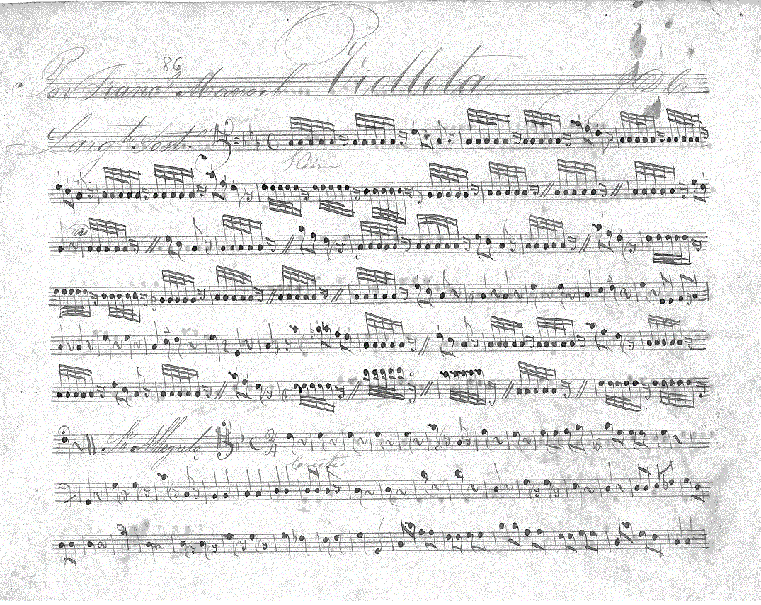 226(violleta1).gif (392459 bytes)