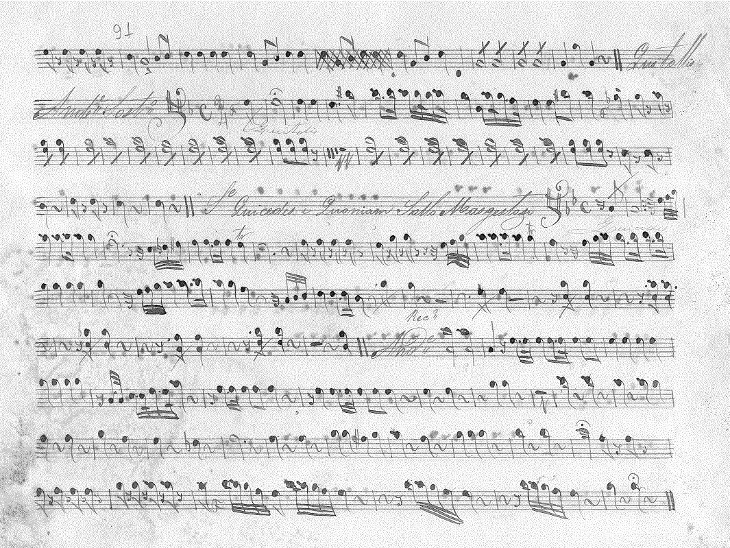 226(violleta6).gif (174311 bytes)